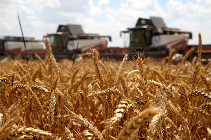 В Ростовской области собрали первый миллион тонн урожая зерна