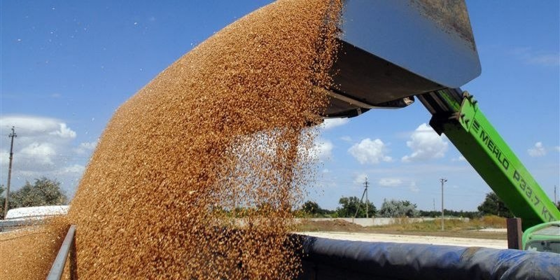 Зерновому экспорту из южных портов мешает сорная трава