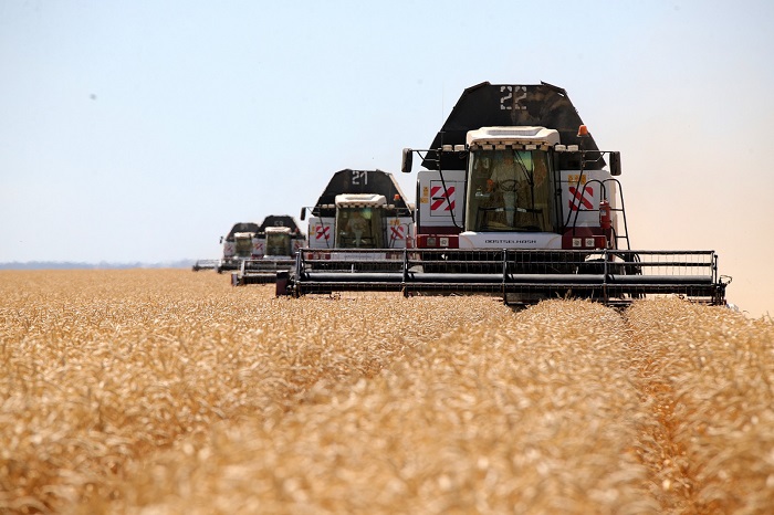 В Ростовской области аграрии собрали более 6,4 млн тонн зерна