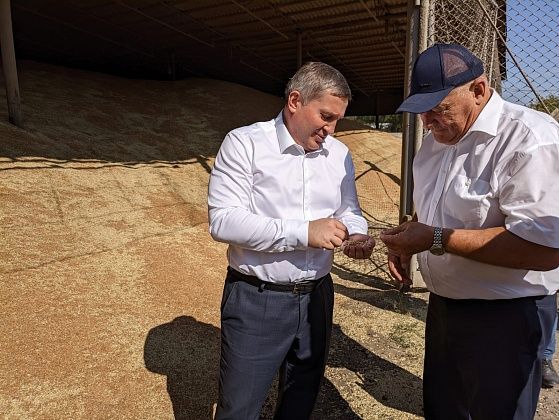 В Волгоградской области собрано 5 млн тонн зерна