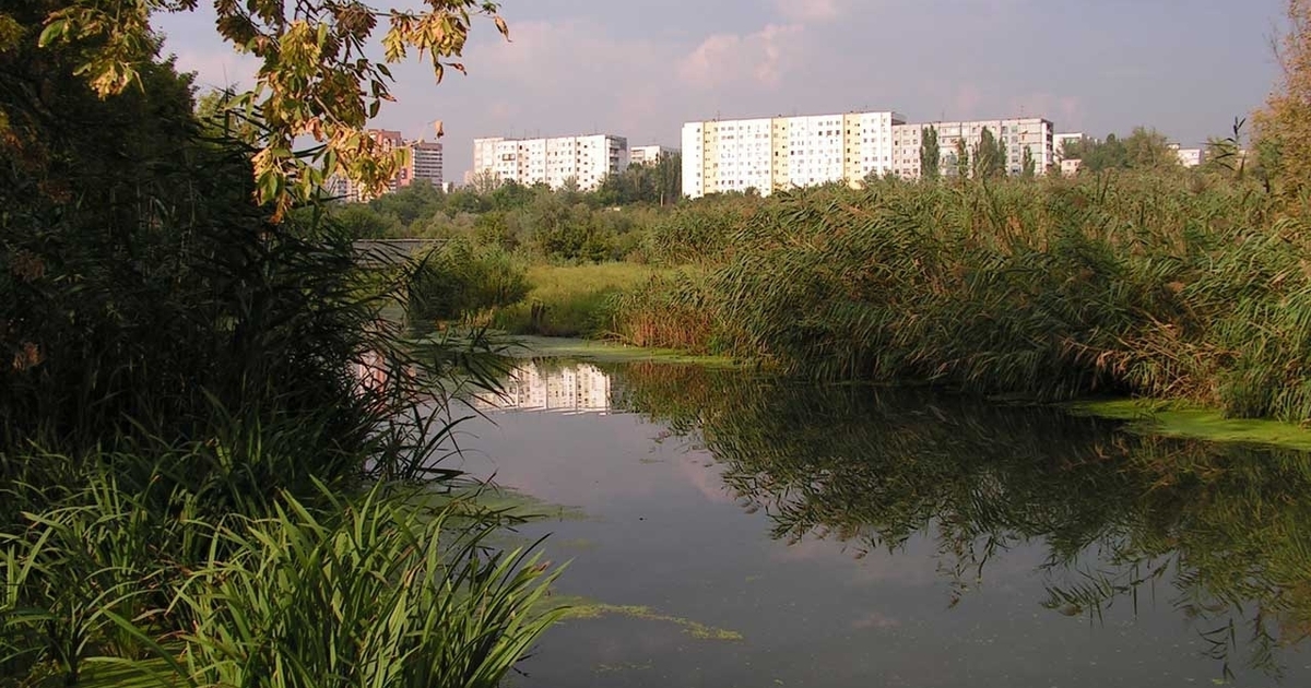 Ростовские власти выделили 392 млн рублей на очистку реки Темерник