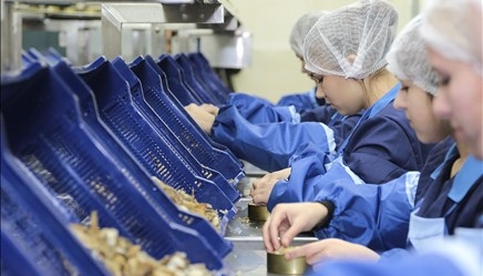 Рыбхозяйство «Социалистический путь» запустило в Ростовской области консервную линию за 75 млн рублей