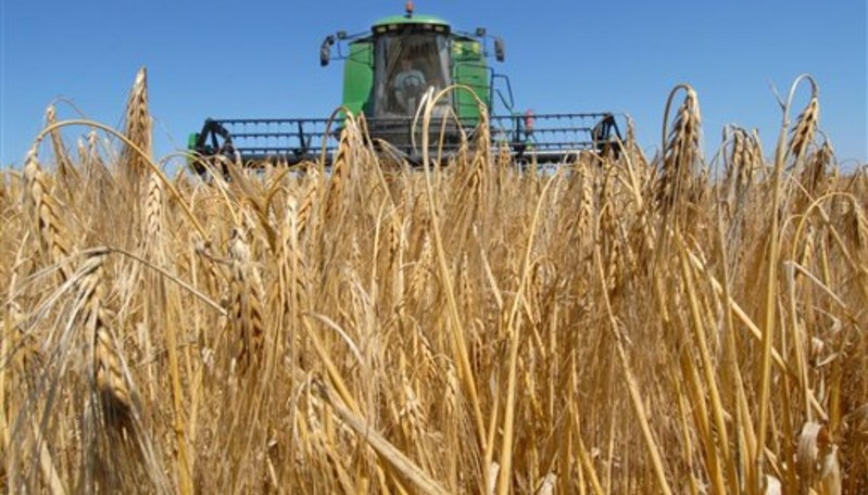 На Ставрополье собран рекордный урожай зерна