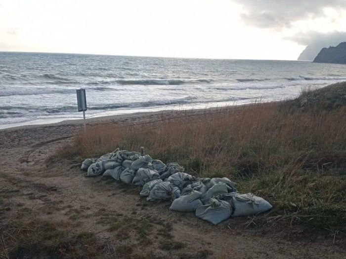 Десять новых выбросов мазута зафиксировано в Крыму