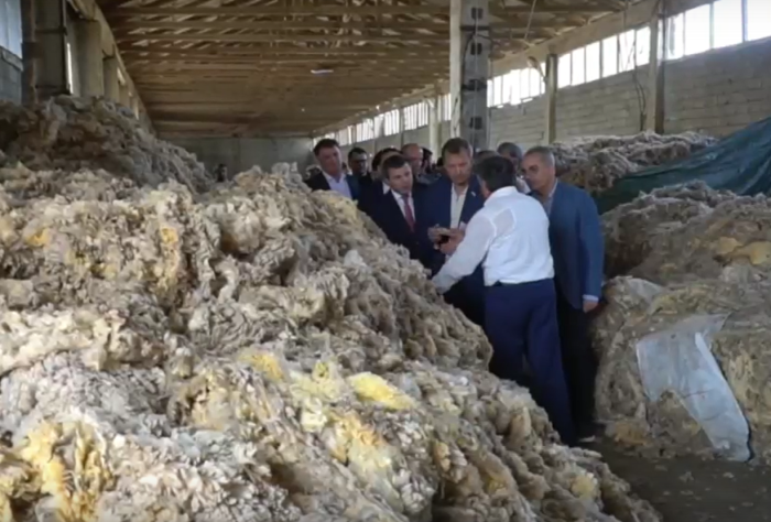 Предприятие из Дагестана в 4,6 раза намерено увеличить переработку шерсти