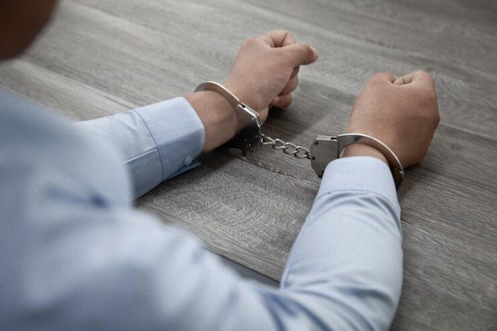 Задержан подозреваемый в хищении 272 млн рублей у «Россетей» на Ставрополье