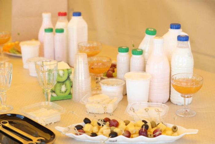 В Ингушетии начали строительство комбината по переработке цельного молока