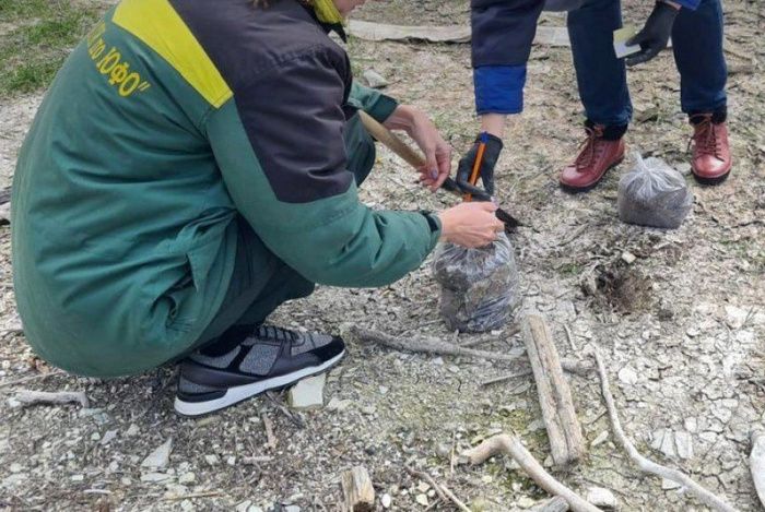 Суд обязал администрацию Геленджика возместить ущерб в 4 млн рублей за загрязнение почвы