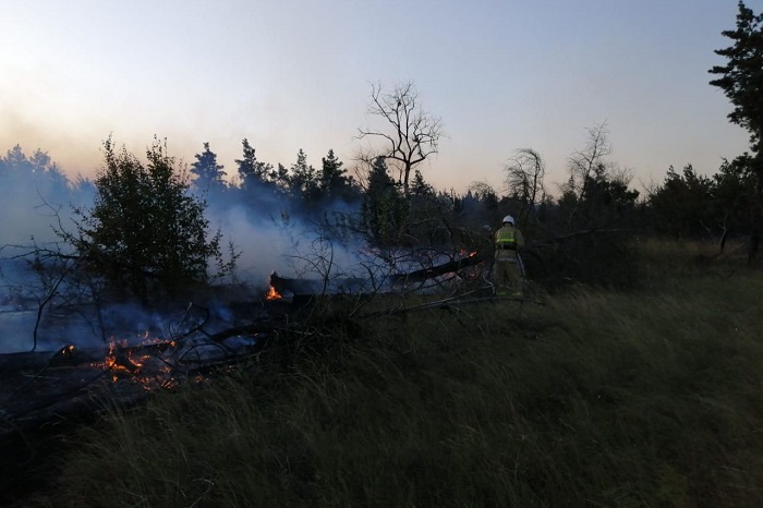 В Каменском районе пожарники локализовали возгорание на площади около 50 гектаров