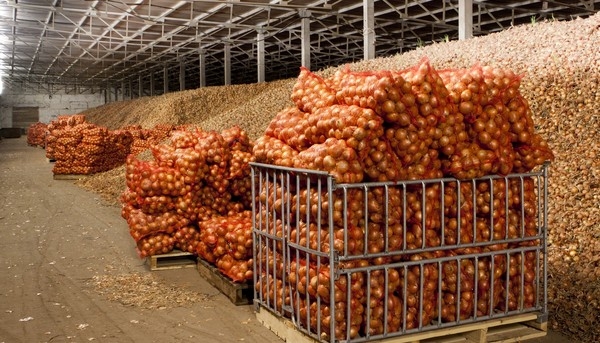 В Дагестане появятся овощехранилища на четверть миллиона тонн