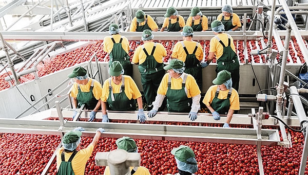 АПК «Астраханский» удваивает производство томатной пасты