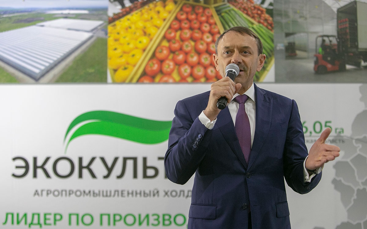 В новые теплицы на Ставрополье холдинг «ЭКО-культура» вложит 15 млрд рублей