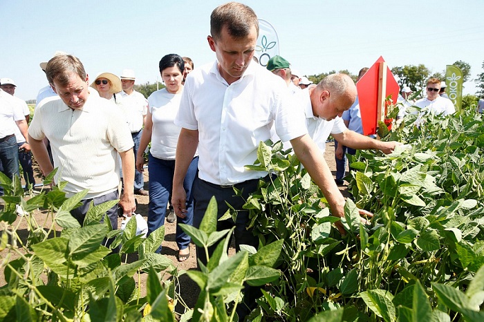 Кубанским аграриям выделили более 165,3 млн рублей на семеноводство