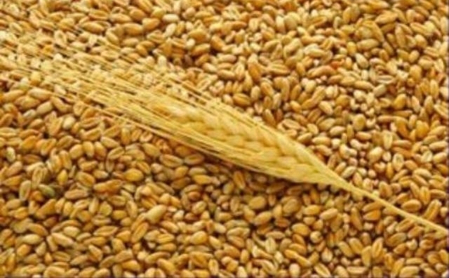 Крым экспортирует зерно в страны Ближнего Востока