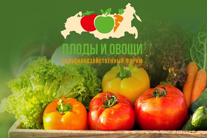 Наталья Кулакова выступит на III сельскохозяйственном форуме «Плоды и овощи России-2021»