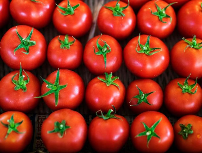 Завод по производству томатной пасты за 8 млрд рублей откроют в Астраханской области