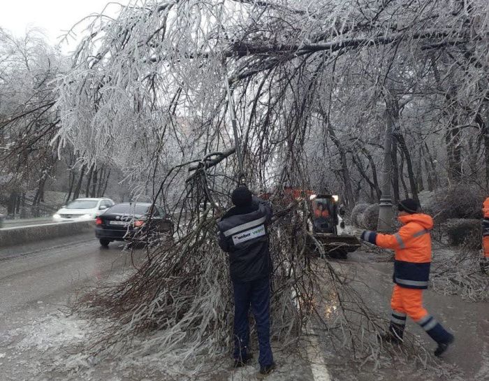 В Ростове на заседании оперштаба обсудили ситуацию с падением деревьев в результате непогоды