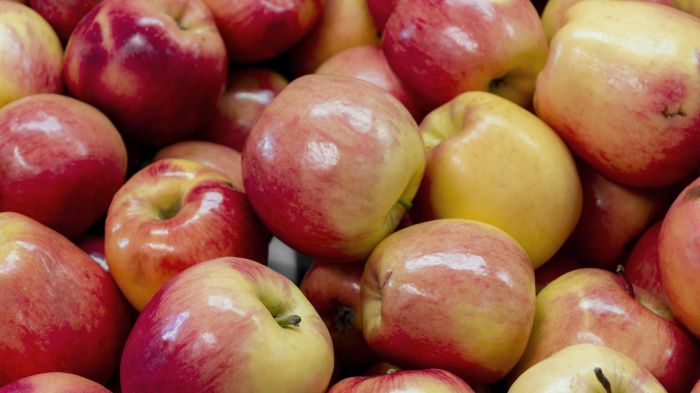 Производитель яблок из Ингушетии увеличил прибыль в 7,5 раз за 2023 год