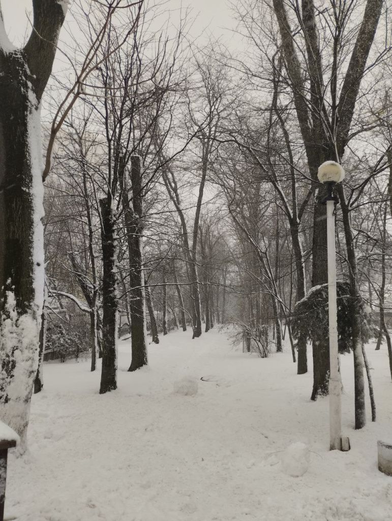 Снегопад Ростов 5