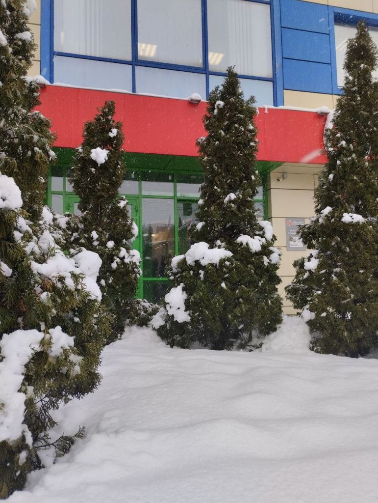 Снегопад Ростов 6