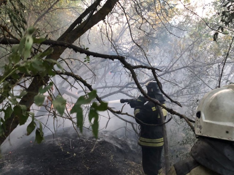 Пожарные продолжают бороться с огнем.//Фото: МЧС РО