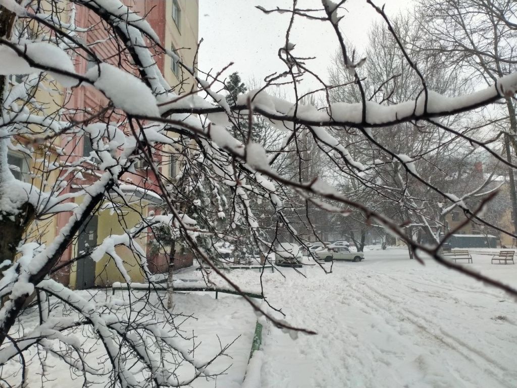 Снегопад Ростов 3