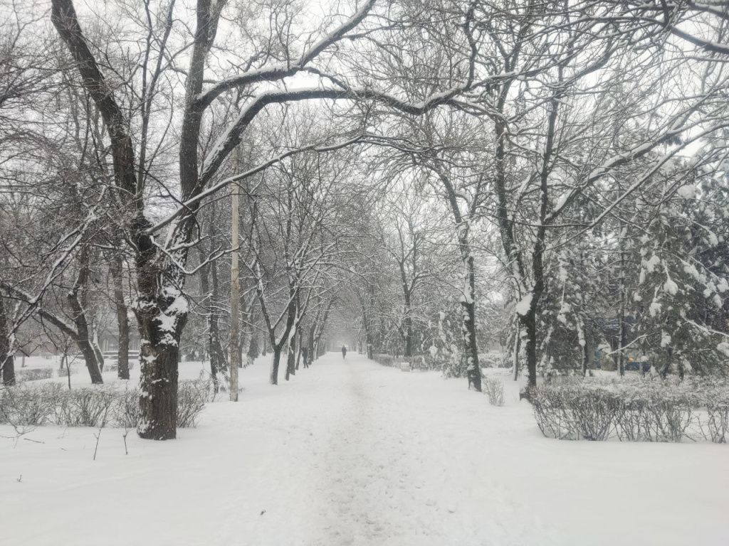 Снегопад Ростов 1