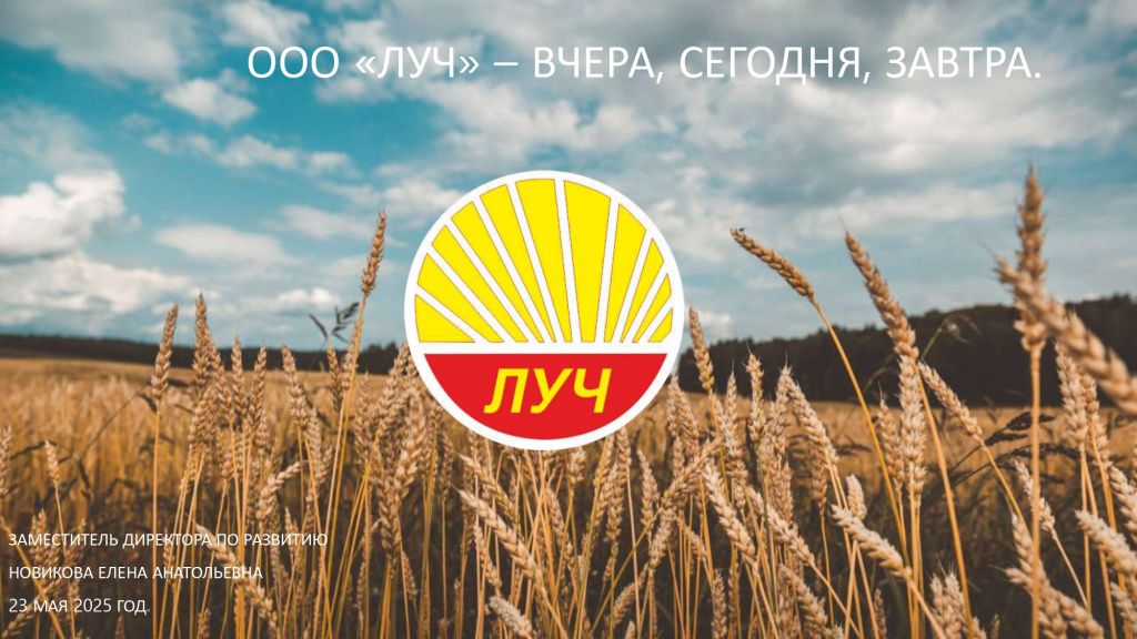  Бизнес-конференция «Предпринимательство как драйвер: малый бизнес на Дону 2025 году»