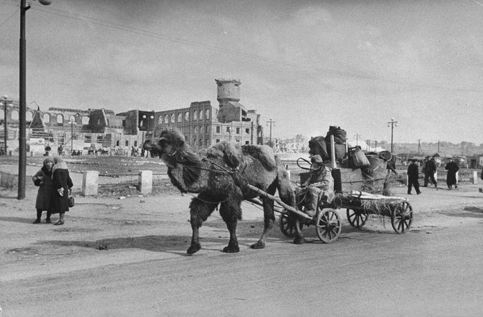 Сталинград 1947.jpg