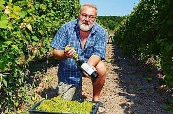 Отели не для фермеров: малые винодельни требуют пересмотреть законопроект о гостиницах на виноградниках