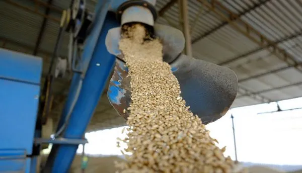 Два ростовских зернотрейдера вошли в ТОП-5 крупнейших экспортеров зерна