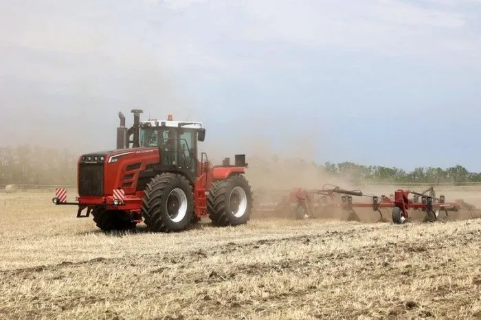 В пострадавших от засухи районах Ростовской области погибли более 60 тысяч га посевов