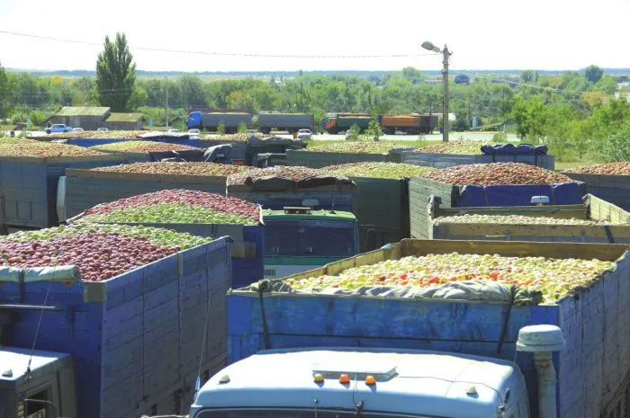 «Сады Придонья» построят завод по переработке яблок в Волгоградской области