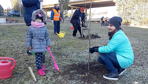 Рядом с ЖК «Акварель» в Ростове-на-Дону появился фруктовый сад