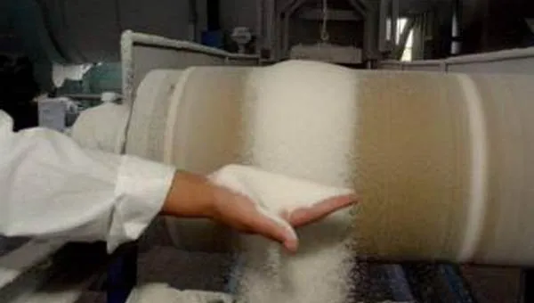 Инвесторы из Лихтенштейна присматриваются к донскому сахару