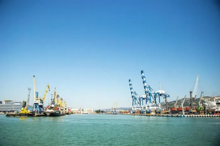 От Дона до Лимпопо: как компании Юга России завоевывают рынки Африки и Ближнего Востока