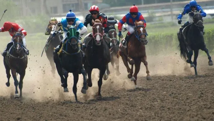 Минимущества Ростовской области подало иск к владельцу ростовского ипподрома