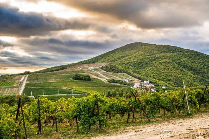 В Госдуму внесен законопроект о развитии винного туризма В Госдуму внесен законопроект о развитии винного туризма