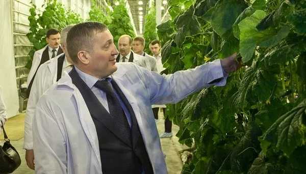 В Волгоградской области открыт тепличный комплекс за 1 млрд рублей В Волгоградской области открыт тепличный комплекс за 1 млрд рублей