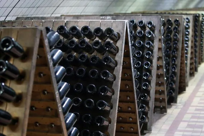 Северная Осетия и Кабардино-Балкария стали лидерами России по росту производства вина