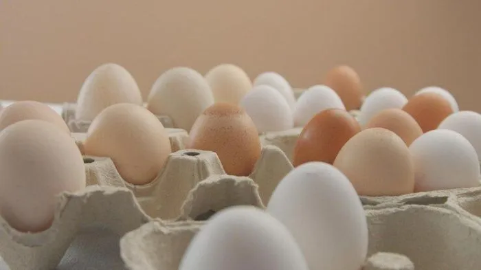 В правительстве Краснодарского края объяснили рост цен на яйца
