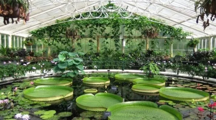 В Ингушетии появится первый в республике Ботанический сад
