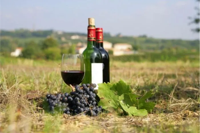 На Кубани винодельня «Мысхако» выкупила «Вина Лефкадии» за миллиард