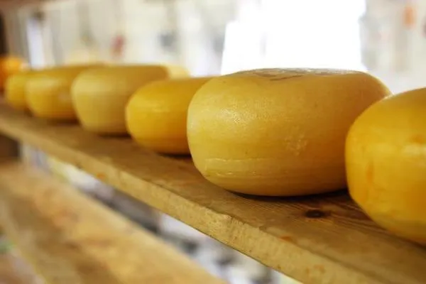 «Южная сыроваренная компания» расширит свое производство на Кубани