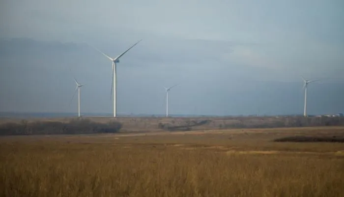 Новые крупные ветропарки планирует строить Росатом в Ростовской области
