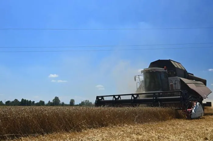 Адыгея заняла второе место в России по урожайности зерновых в 2025 году