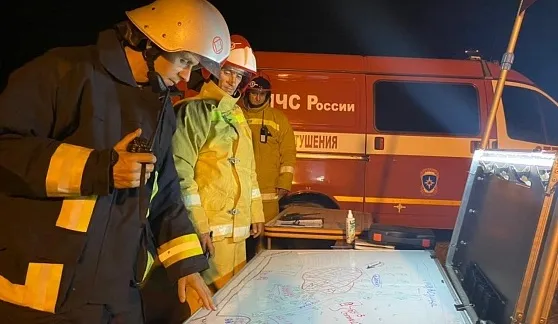 Площадь ландшафтного пожара в Волгоградской области составляет 200 га