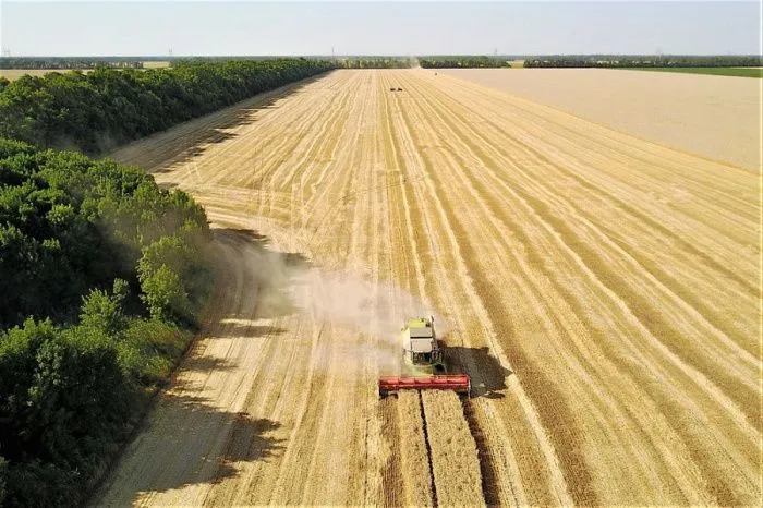 В Краснодарском крае собрали свыше 9 млн тонн зерна