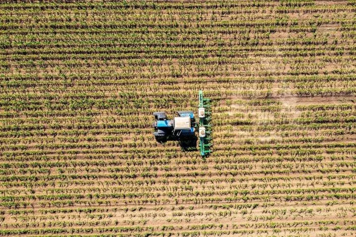 Агрохолдинг «Степь» завершил интеграцию «РЗ Агро» и утвердил пятилетний план развития актива