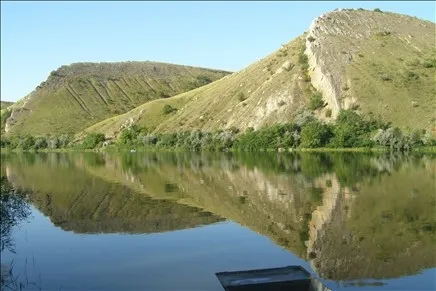 На Дону создано министерство природных ресурсов и экологии